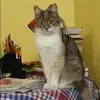 Отзыв от Пелагея Леонтьева